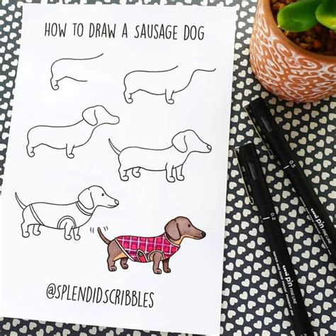 sausage dog guided drawing
